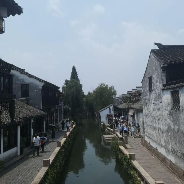 小猪佩奇饲养员